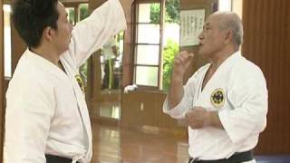 Shorinryu Seibukan History of karate Part 2 33 [upl. by Rex]