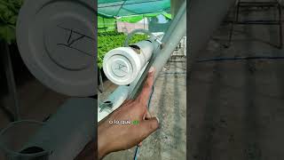 Instalación de tubos de cultivo en bancadas piramidales hidroponía [upl. by Greenquist503]