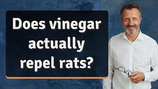 Does vinegar actually repel rats [upl. by Nosirrag]