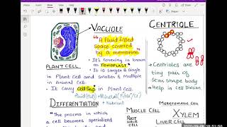 Biology 5090  Topic Cell Diffusion osmosis Surface AreaVolume Ratio Enzymes [upl. by Monteria]