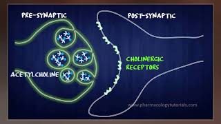 Acetylcholinesterase Inhibitor [upl. by Otsuaf]