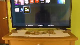 COMO ABRIR GOOGLE EN LA SMARTTV SAMSUNG [upl. by Kreiker]