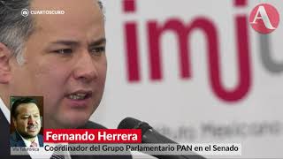 Despido de Santiago Nieto es una arbitrariedad Herrera [upl. by Alded]