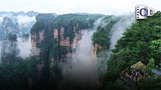 Wulingyuan Scenic and Historical Area「UNESCO World Heritage Sites in China」  China Documentary [upl. by Reywas]