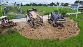 Project Started Fill land in field by dozer pour bamboo with soil unloading dump truck 5TON [upl. by Isayg]