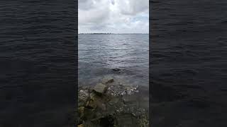 Caloosahatchee River Ft Myers FL [upl. by Irehc897]