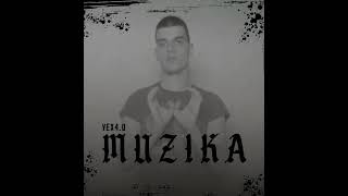 VEX40 quotMUZIKAquot OFFICIAL AUDIO [upl. by Erreit653]