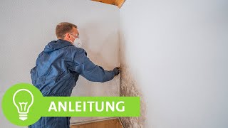 Schimmel an der Wand  Schimmel entfernen und vorbeugen [upl. by Hanid]