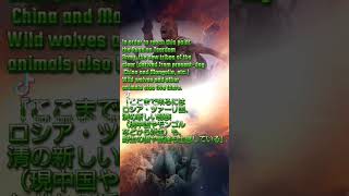 RiZandTyler【Mashupマッシュアップ195①】 曲P5R【I Believe】славаукраїні stoprussia stopwar ロシア撤退 即時停戦 [upl. by Amin887]