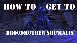 WoW World Quest  Wanted Broodmother Shumalis  NPC Location and Path [upl. by Nosned]