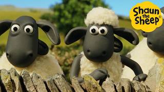 Shaun the Sheep 🐑 Panic at the farm  Cartoons for Kids 🐑 Full Episodes Compilation 1 hour [upl. by Sheba100]