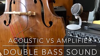 Acoustic vs Amplifier Double Bass Sound [upl. by Garihc]