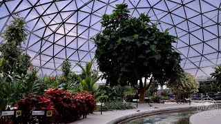 EPCOT Living with the Land 2023 Ride POV in 8K  Walt Disney World Orlando Florida February 2023 [upl. by Nanyt]