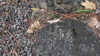 Midhurst pioneer cemetery [upl. by Scrivenor183]