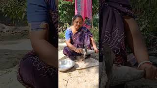 আমাদের পুকুরের মাছ song kreshvlogs instagram hindisong fish cooking [upl. by Richey522]