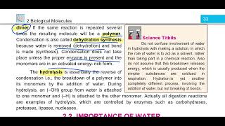 Condensation and Hydrolysis 11th biology biology education biomolecules condensation Hydrolysis [upl. by Stannwood]