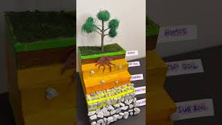 Layers of Soil making 3D model  soil Profile  Science project exhibition  shorts [upl. by Siravaj604]