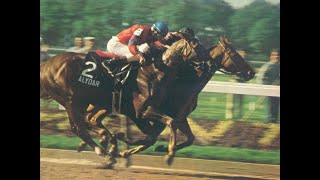 AFFIRMED Belmont Stakes G1 1978 [upl. by Gaynor]