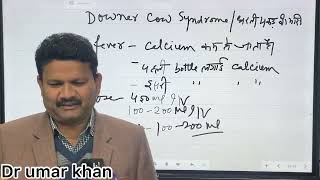 Symptoms of cow downer syndrome l धरती पकड़ बीमारी l dr umar khan [upl. by Sill]