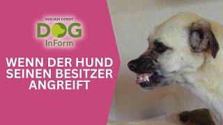 Wenn dich dein Hund fletschend durchs Zimmer jagt [upl. by Ahsiugal]