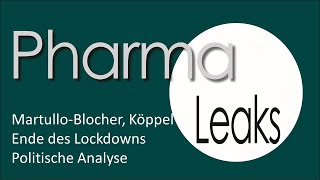 Martullo Blocher Köppel Ende des Lockdowns  politische Analyse [upl. by Daniell]