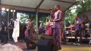 Youssou NDour Senegaal Reck Live  Afrika Festival Hertme 2016 [upl. by Mikey]