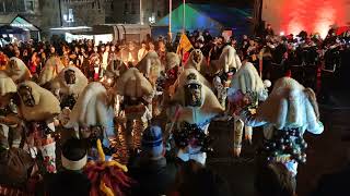 Großes Narrentreffen Weingarten 20 Januar 2024 Weingarten narren deutschland fasnet [upl. by Perloff]