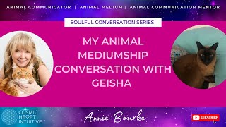 Soulful Conversations Reincarnation Series Mediumship conversation with Geisha [upl. by Olsewski786]