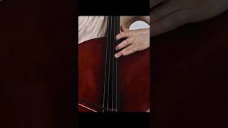 Bach Aria for Cello and Voice cello voice duet [upl. by Rior]