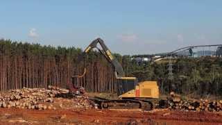 Tigercat Harvester H855C with Log Max 7000XT in Brazil [upl. by Waddell87]