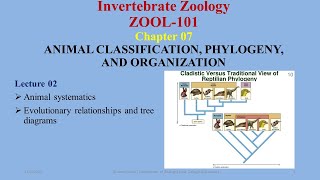 Animal Systematics monophyletic paraphyletic polyphyletic symplesiomorphies synapomorphies [upl. by Synn762]