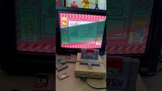 Squirtle vs Rattata in PokemonRed on SNES [upl. by Aiuqes]