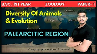 Palearctic zoogeographical region  Zoogeographical regions of the world  BSc 1st Year [upl. by Yrogiarc]