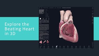 Explore the Beating Heart in 3D on Complete Anatomy [upl. by Asselam24]