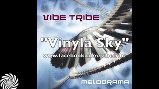 Vibe Tribe  Stringadelic [upl. by Stillmann]