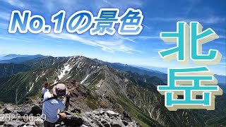 【北岳】【白峰三山】【日本百名山】【新・花の百名山】【山梨百名山】【南アルプス】【赤石山脈】 20220629 北岳 [upl. by Wilhelm502]