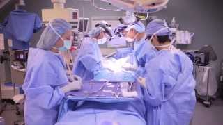 Parathyroid Surgery  UCLA Endocrine Surgery [upl. by Elitnahc]