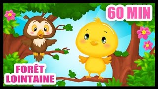 Dans la forêt lointaine  60 min de comptines pour bébés  Titounis [upl. by Halivah]