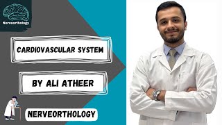 Histology  cardiovascular system part 1 [upl. by Inhsor]