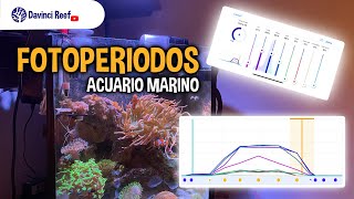 Fotoperiodos 🌞 para tu Acuario Marino 🐠  Qué son los fotoperiodos y cuales son los recomendados [upl. by Ayidah390]