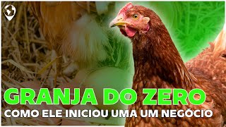 Alimentação Verde Desvendando o SEGREDO para LUCRAR com Galinhas Caipiras Granja do ZERO ao LUCRO [upl. by Selden]