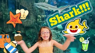 Niza Saw SHARKS🦈 SharkReefAquarium 🐠💦🐙 [upl. by Pandolfi]