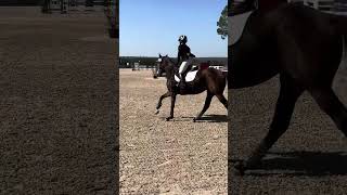 Tie Break w Jesse Shultz TIP Championships 102524 OTTB marepower [upl. by Amsirak]