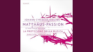 Matthew Passion XL Recitative Sie sprachen was gehet uns das an [upl. by Gnouv]