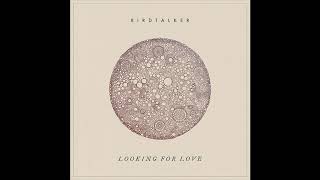 Birdtalker  Looking for Love Official Audio [upl. by Iden]