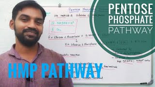 Pentose phosphate pathway  HMP Pathway Respiration  Senthilnathan [upl. by Caralie]