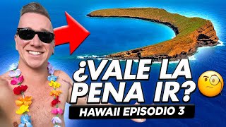 Asi es MAUI  ¡LA ISLA MÁS DIVERTIDA DE HAWAII  Episodio 3 [upl. by Enomar]