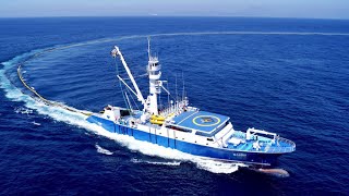 Amazing Catching Thousands Tons of Tuna Fish With Modern Big Boat  Fastest Squid Fishing Trawl [upl. by Clabo]