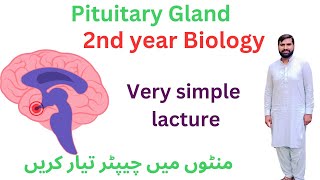 pituitary gland  12 class biology  2ndyearbiology [upl. by Conchita240]