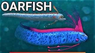 Oarfish [upl. by Oicam]